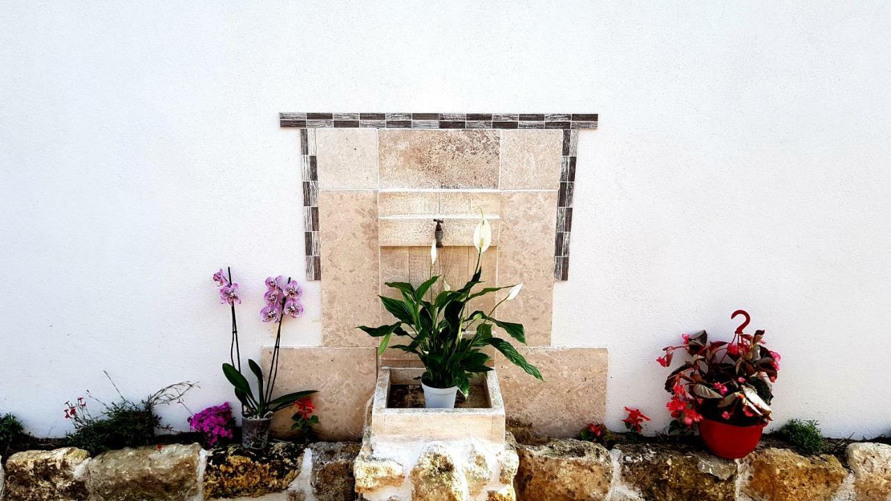 La Rose Allass Grand-Village-Plage エクステリア 写真