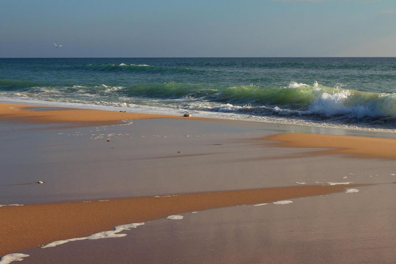 La Rose Allass Grand-Village-Plage エクステリア 写真